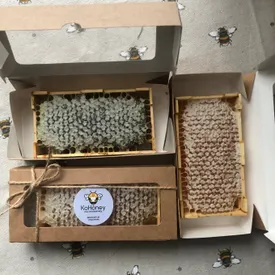 Мёд в сотах гречишный, 1 шт. (230–300 г)